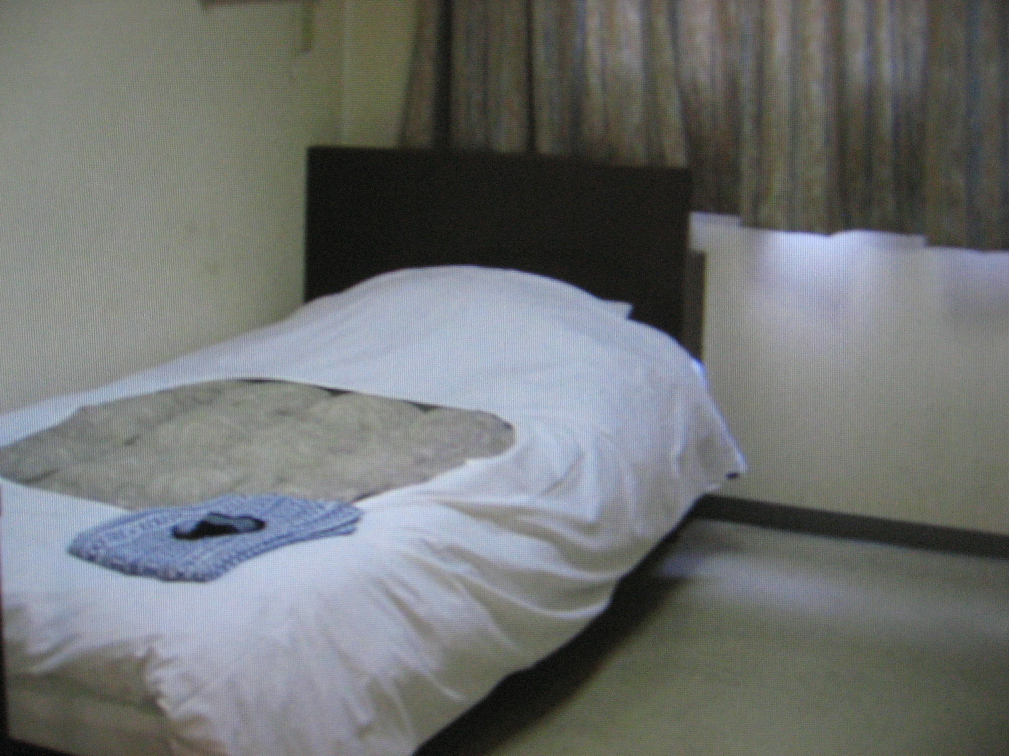 Business Hotel Shinsuma Hekinan Extérieur photo